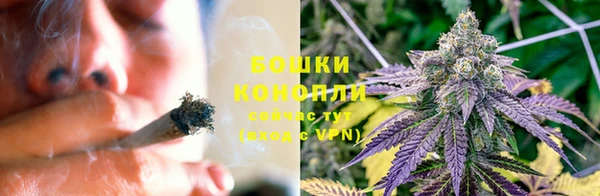 прущие грибы Кукмор