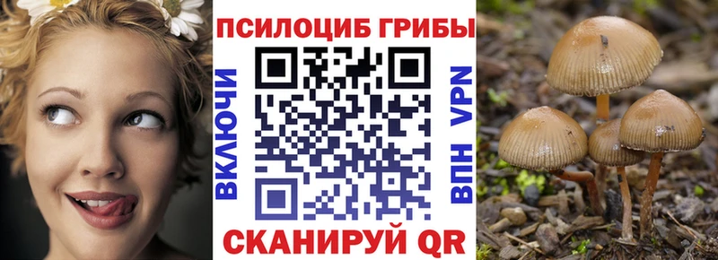 Галлюциногенные грибы Magic Shrooms  где найти   Костомукша 
