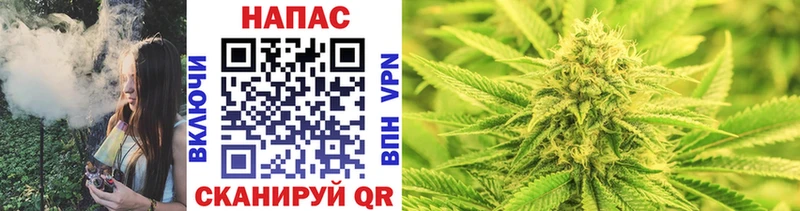 Шишки марихуана Ganja  наркотики  Костомукша 